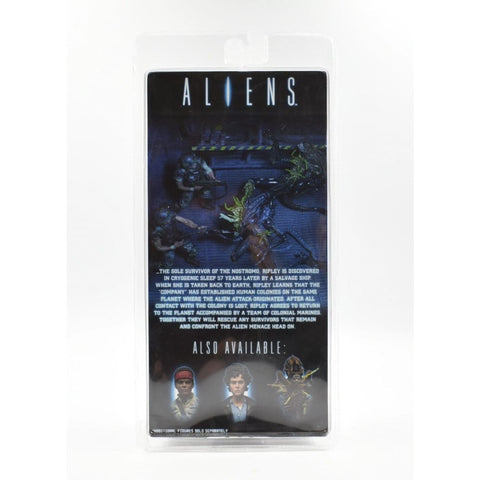 GENUINE NECA - Aliens Xenomorph Alien Battle Damaged (Blue Ver) Action Figure - Toys & Games:Action Figures & Accessories:Action Figures