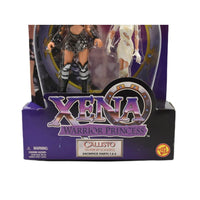 ToyBiz - Xena Warrior Princess - Callisto Warrior Goddess Action Figure - Toys & Games:Action Figures & Accessories:Action Figures